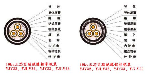 10kv電纜結構圖片（YJV、YJLV、YJY、YJLV、YJV22、YJV32、YJLV22、YJLV32）電纜結構圖