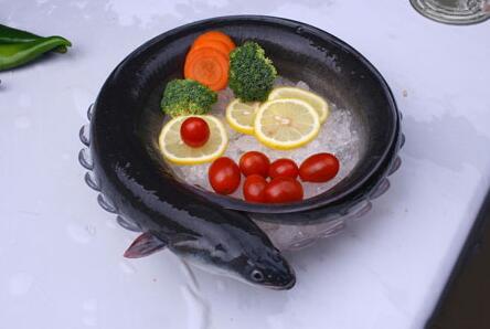 鰻鱺多少錢一斤？野生鰻魚(yú)價(jià)格多少及養(yǎng)鰻魚(yú)賺錢嗎？