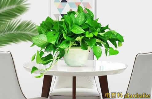 新房裝修后多久可以入住？新房裝修好后采取的除甲醛措施