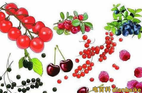 花青素能去斑嗎？花青素的功效與作用和禁忌及花青素含量高的食物