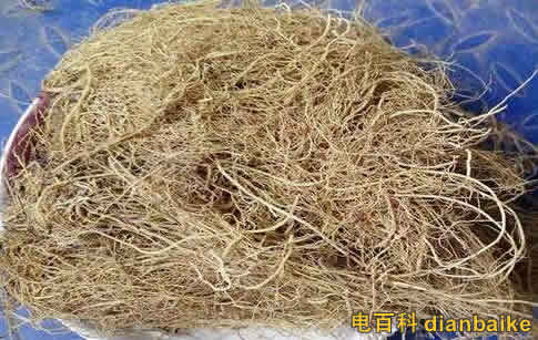 細辛的功效與作用