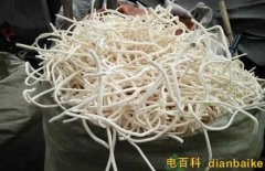 通草怎么吃下奶快？通草圖片和副作用及通草的功效與作用禁