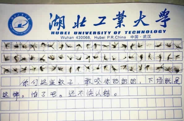 60只蚊子寫作文是怎么回事？60只蚊子寫作文來龍去脈（組圖）