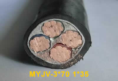 myjv3*70 1*35電纜myjv電纜圖片