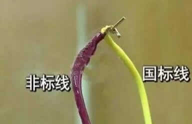 國標bv線與非標bv線