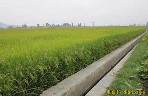 面積單位換算公式一畝地的計算公式