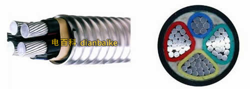 連鎖鎧裝無護套型結構示意圖