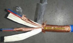 DJYPVP是什么電纜？DJYPVP電纜型號規(guī)格