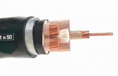 WDZYJFE型號的電纜是什么電纜？WDZYJFE型號含義和特性