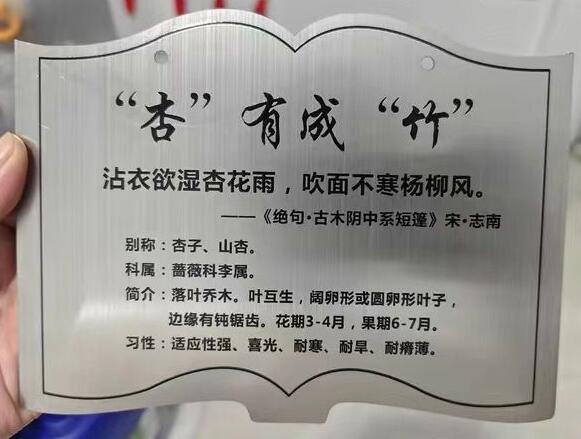 愛護樹木的標牌效果圖